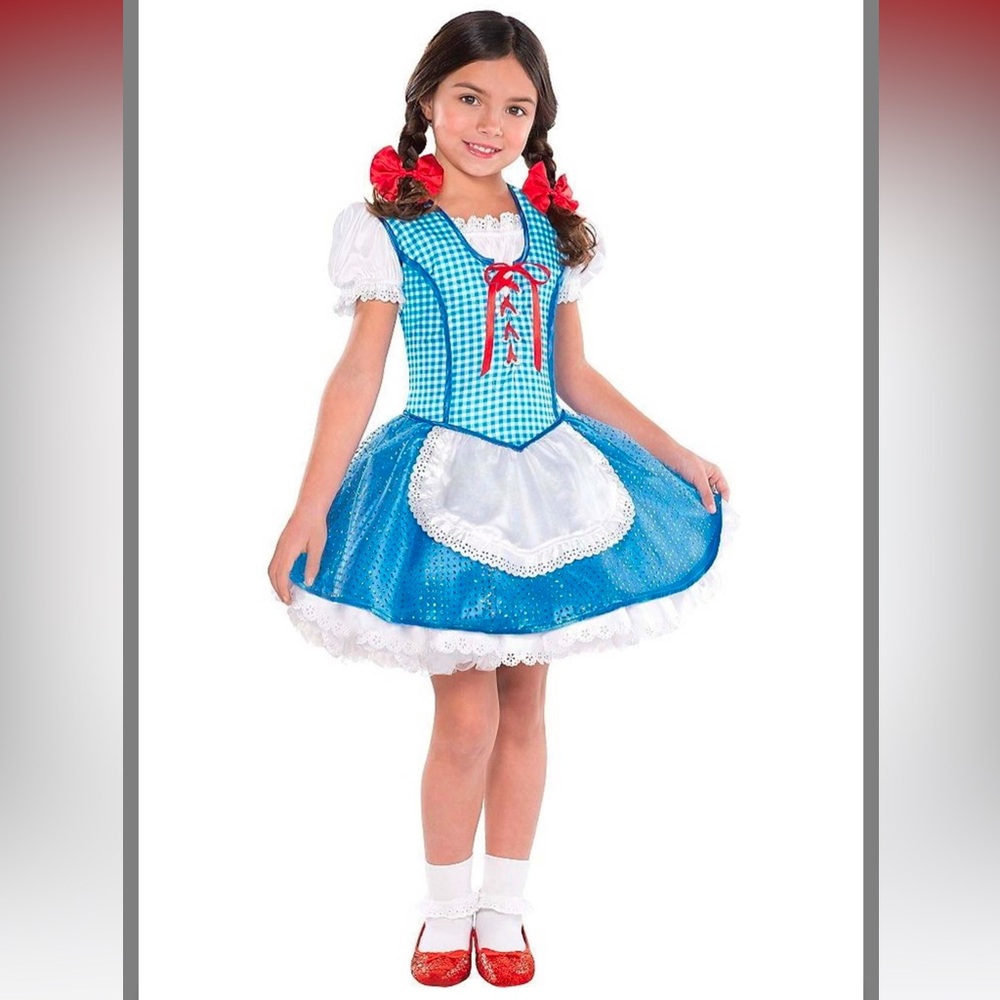 Wizard of Oz Kids Dorothy Costume size large 12 to 14